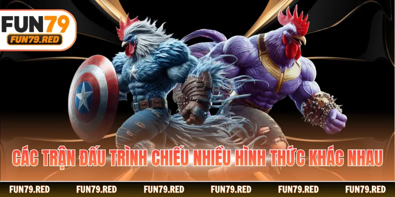 Các trận đấu trình chiếu nhiều hình thức khác nhau