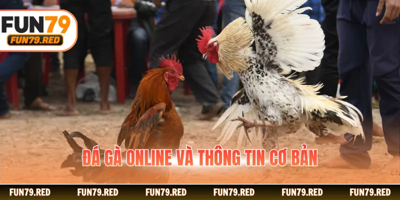 Đá gà online và thông tin cơ bản