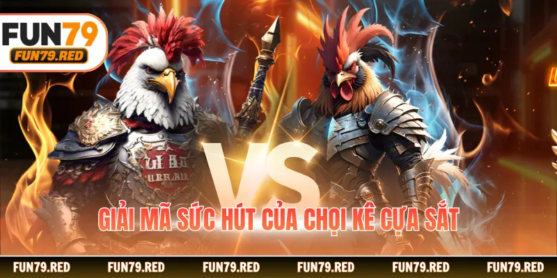 Giải mã sức hút của chọi kê cựa sắt