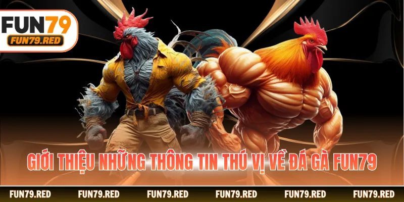 Giới thiệu những thông tin thú vị về đá gà FUN79
